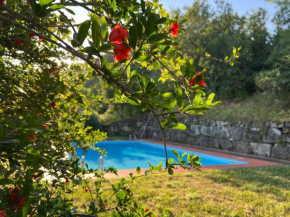 La Melagrana Brisighella